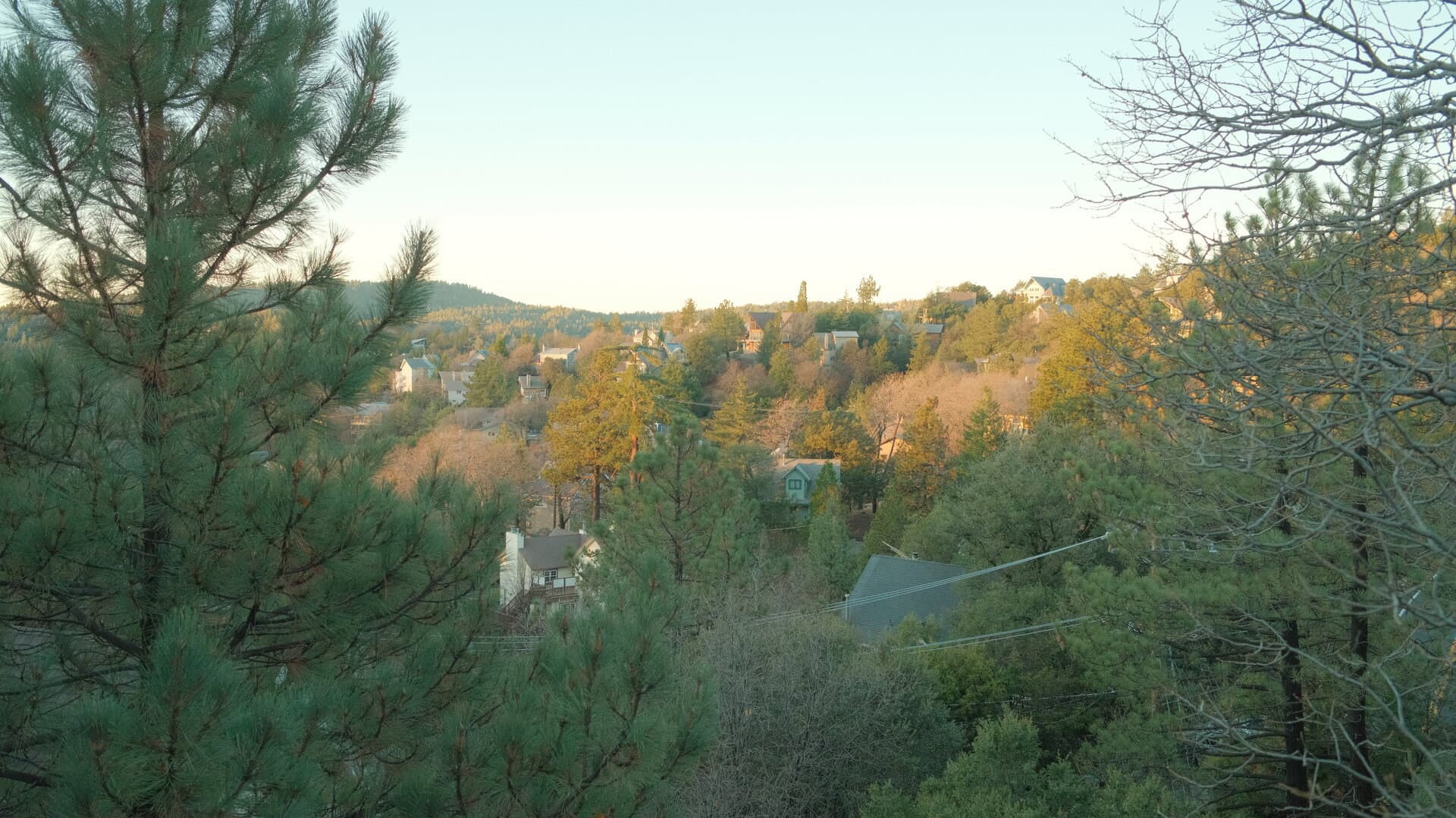 Cover Image for The Friendship Deficit